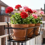 10 Balcony Flowers Apartment Ideas